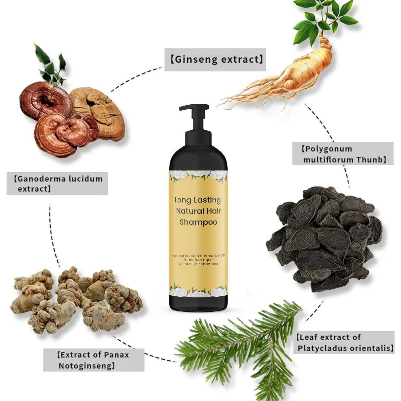 Long Lasting Natural Hair Dye Shampoo - 2 (Made With Japanese Traditions)